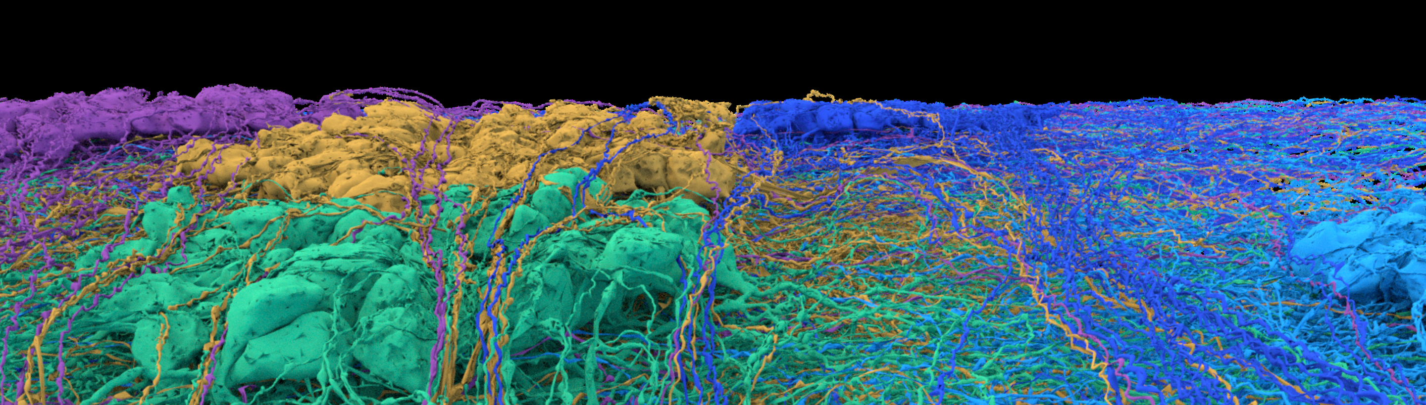 Eyewire II footer graphic