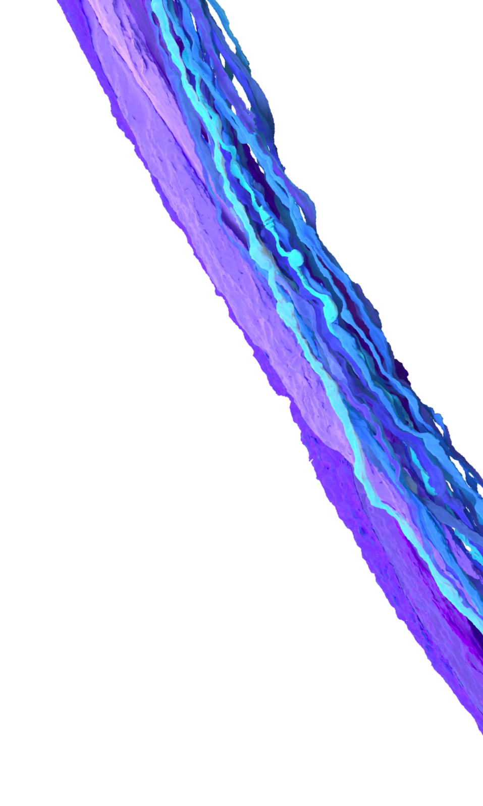 Eyewire II consortium labs illustration