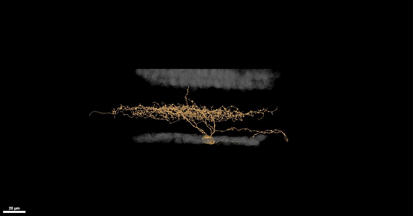 HD1 example