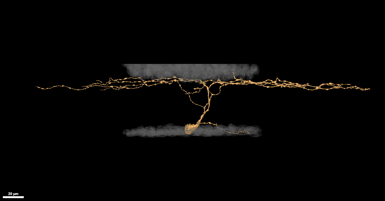 M1 example