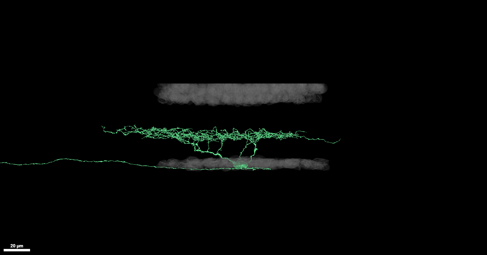 ON transient small RF example