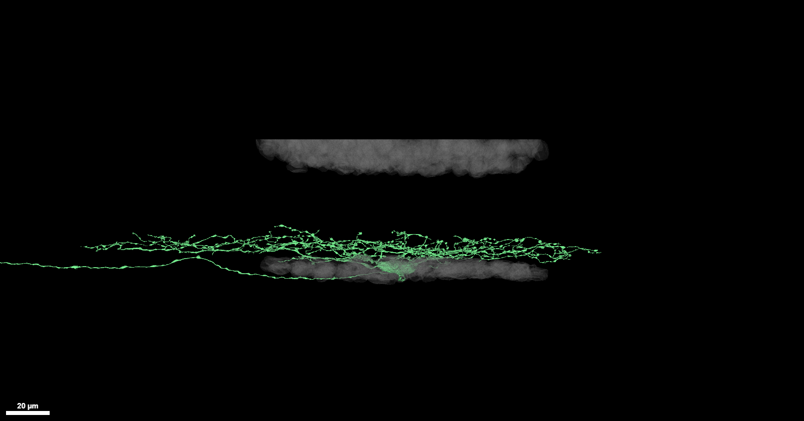 PixON example