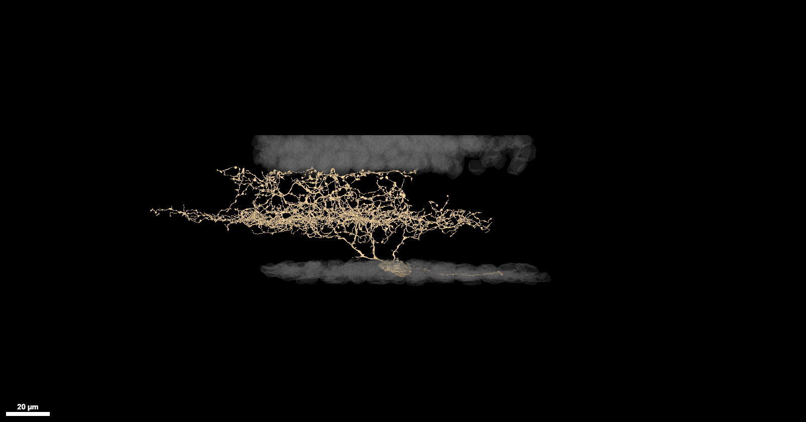UHD example