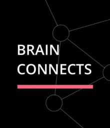 BRAIN CONNECTS